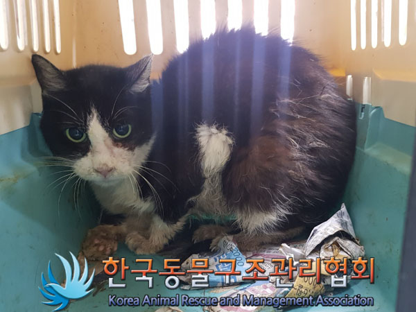 한국동물구조관리협회_411300202300467